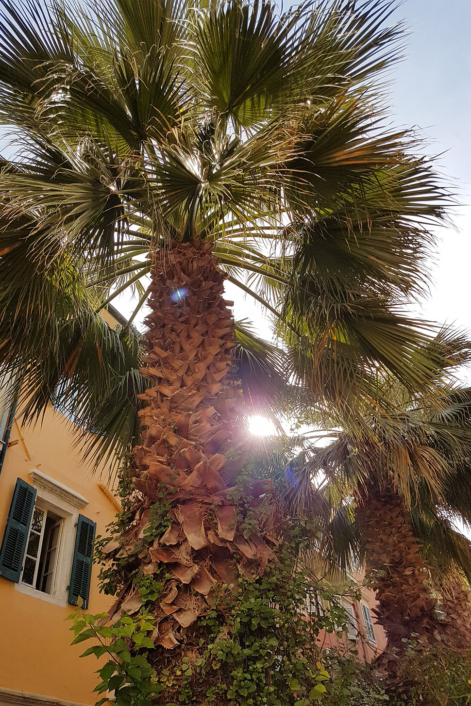 10 Tropical Activities To Do In Corfu by Tamara Bellis
